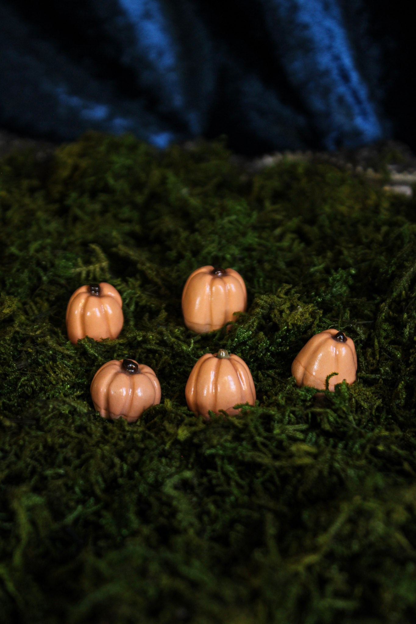 Mini Pumpkins