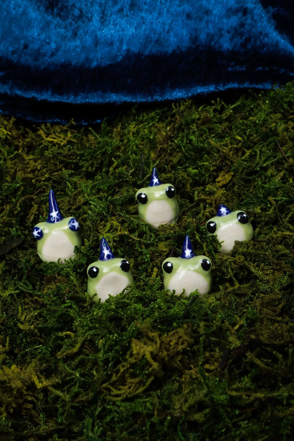 Wizard Frog
