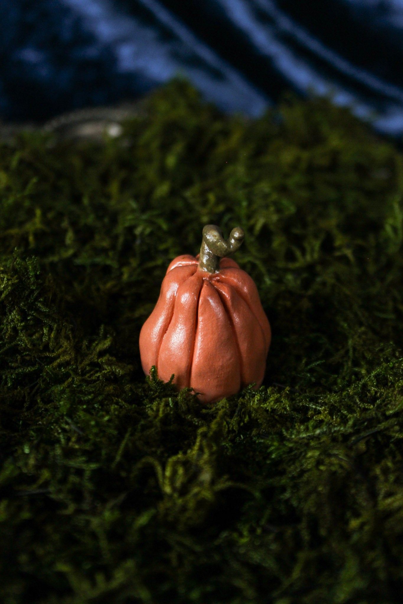 Large Pumpkin