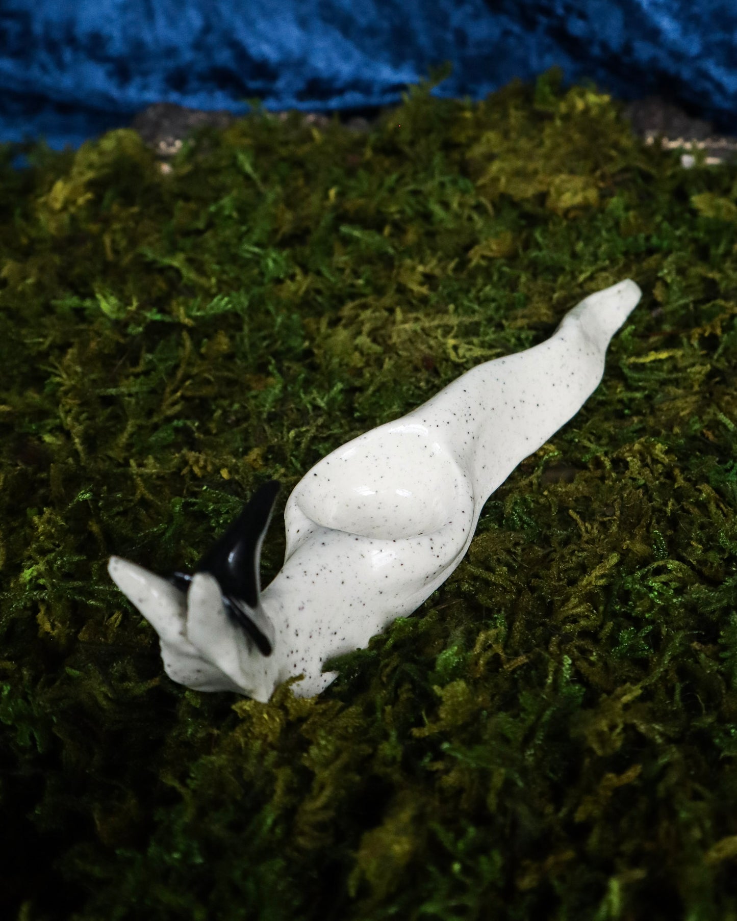 Witch Slug Crystal Holder
