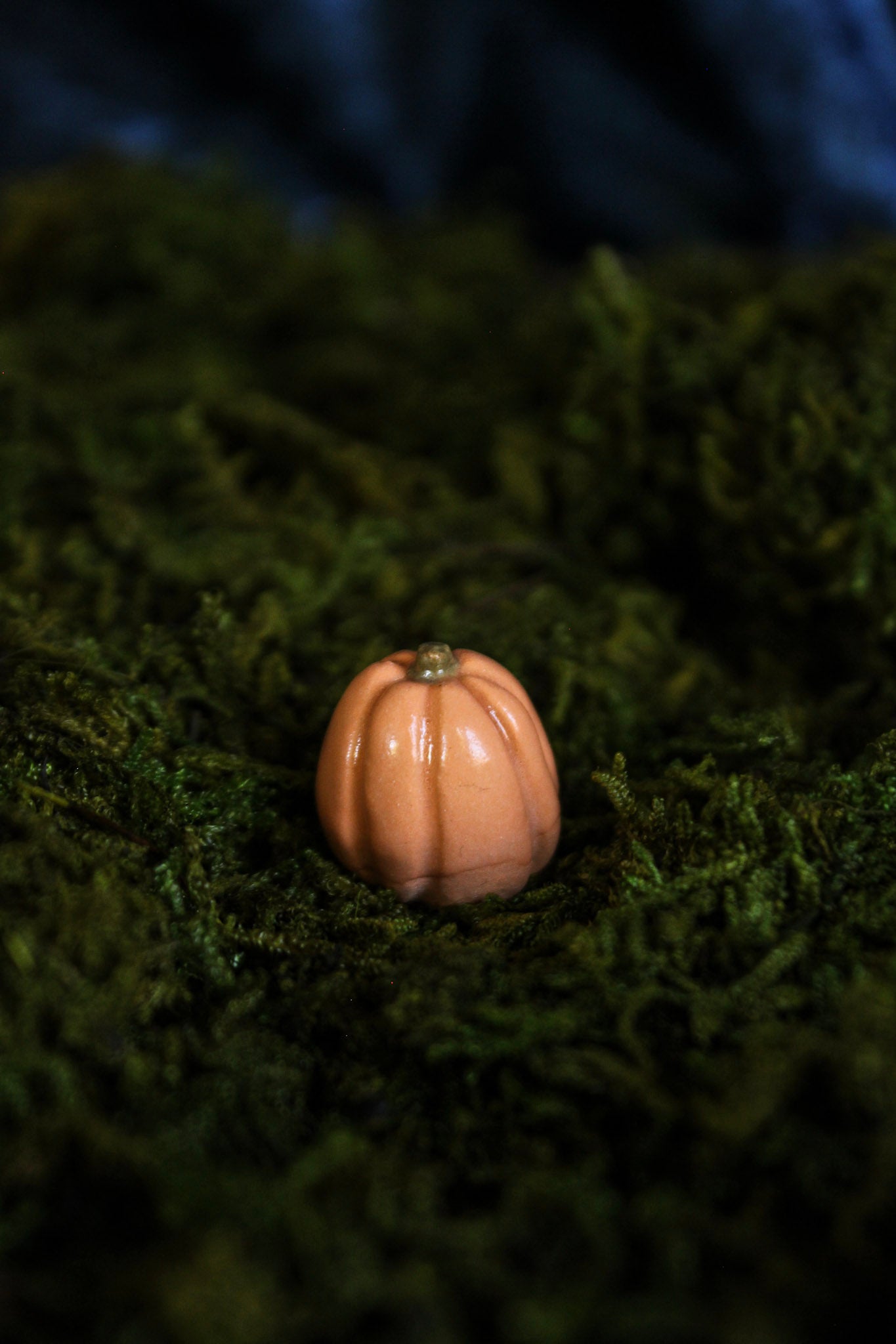 Mini Pumpkins