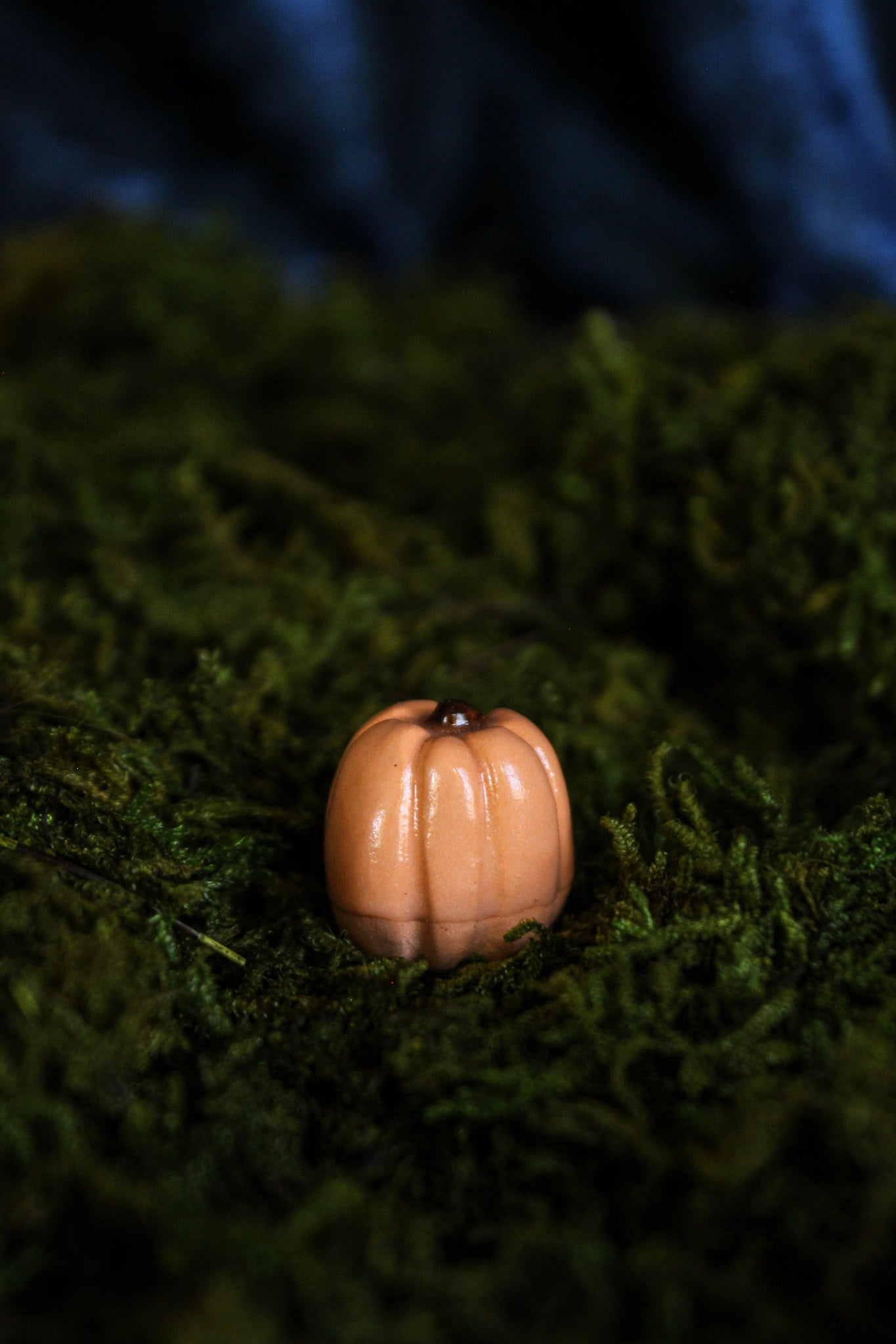 Mini Pumpkins
