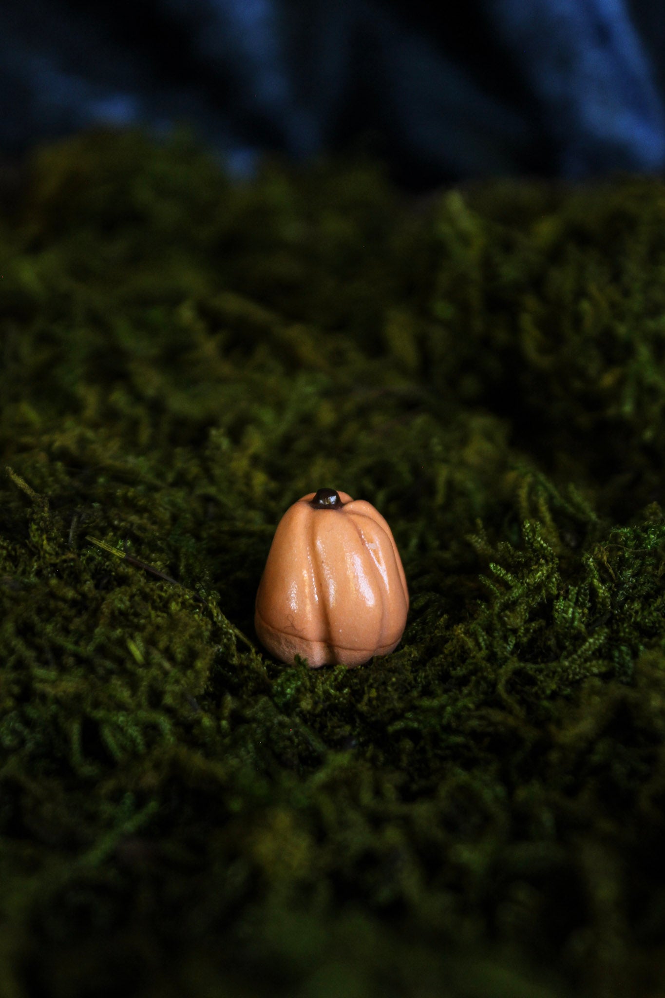 Mini Pumpkins