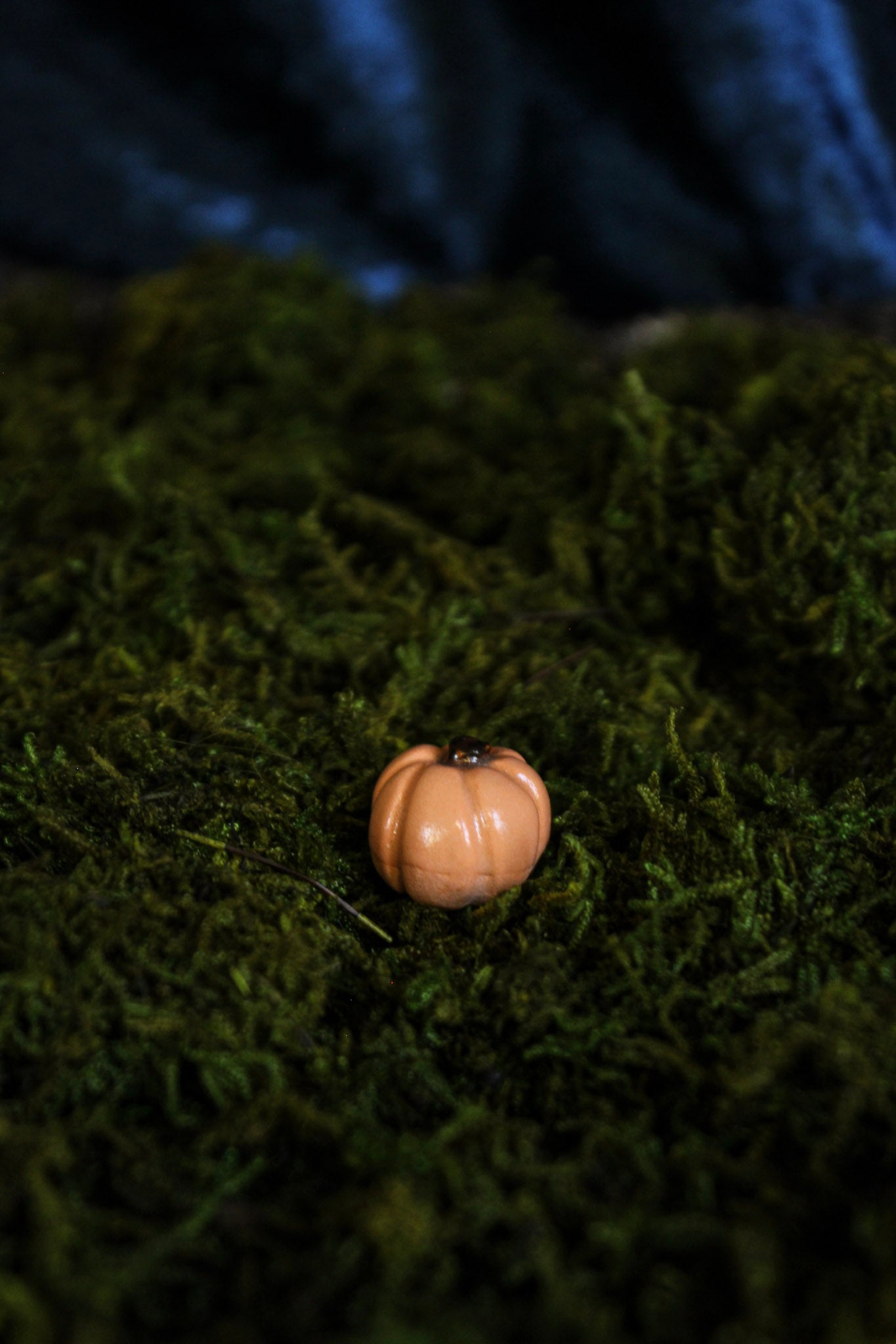 Mini Pumpkins