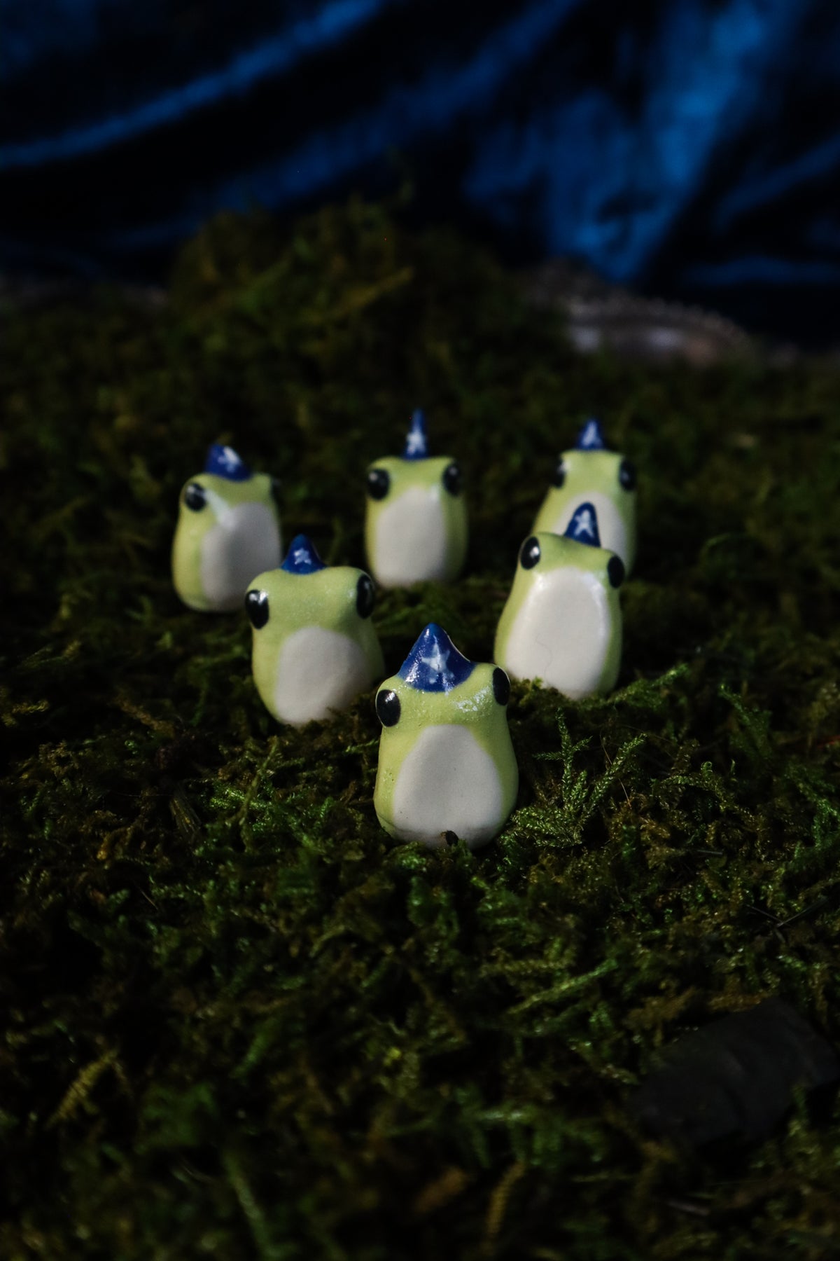 Wizard Frog